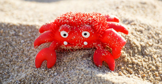 Why Your Dog or Cat Needs a Crab and Octopus Toy Now