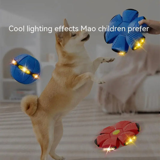 LED Glow-in-the-Dark UFO Dog Toy - Perfect for Outdoor Fun and Games with Your Pup!