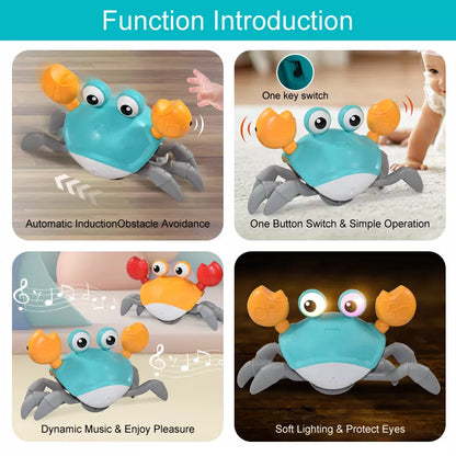 Musical Magic Crab & Octopus Toy - Interactive Crawling Induction Toys for Pets